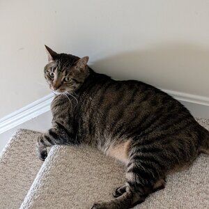 Meet your Posher, Serena